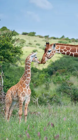 Conexi&oacute;n perfecta