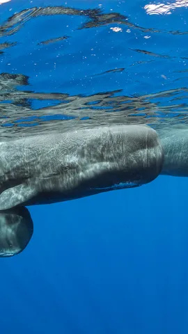 Tomando f&ocirc;lego