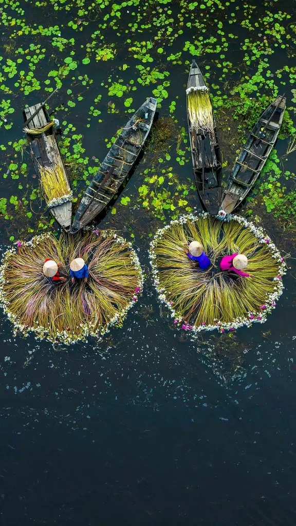 Teamwork makes the dream work