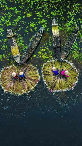 Il lavoro di squadra rende il sogno possibile