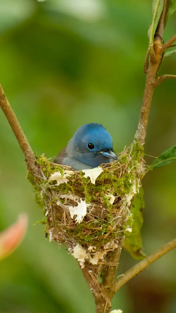 Entre teias, folhas e arte