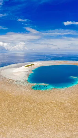 瓦卡托比国家公园，印度尼西亚