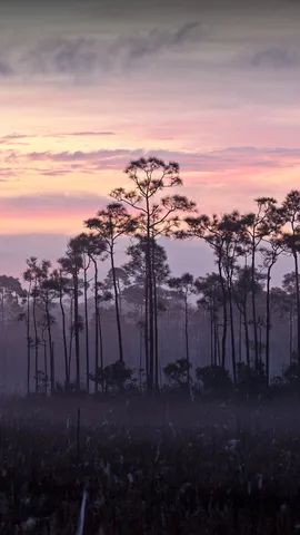 欢迎来到大沼泽地
