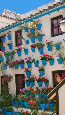 &iexcl;Un d&iacute;a con color!