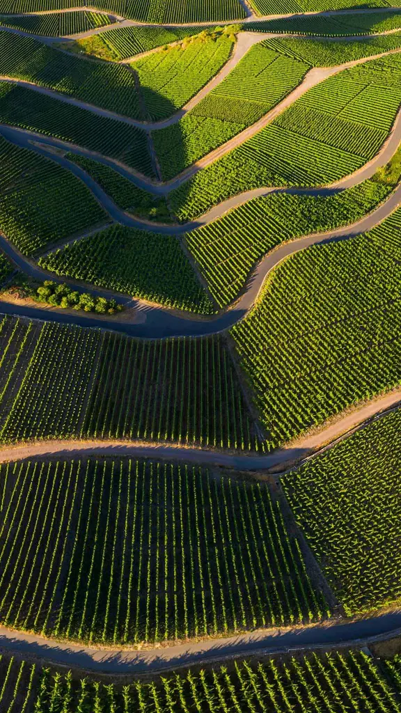 Baccanali teutoniche