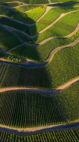 Baccanali teutoniche