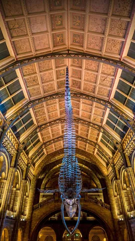 Uma longa hist&oacute;ria