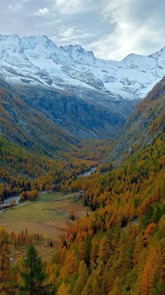 Dove il vento sussurra segreti d&rsquo;autunno