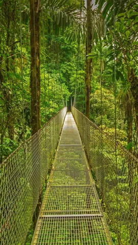 上面的空气怎么样？