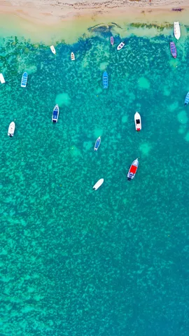 蒙舒瓦西海滩，毛里求斯