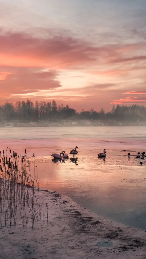 Gefrorenes Blau im Morgenrot