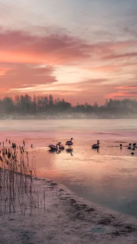 Gefrorenes Blau im Morgenrot