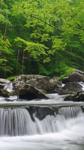流经烟雾弥漫之地