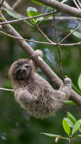 你想&ldquo;挂&rdquo;着玩吗？