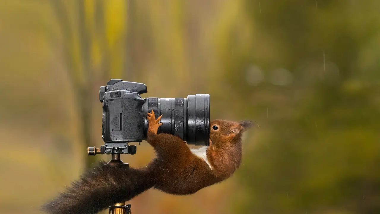 I'm ready for my close-up, Mr. DeSquirrel