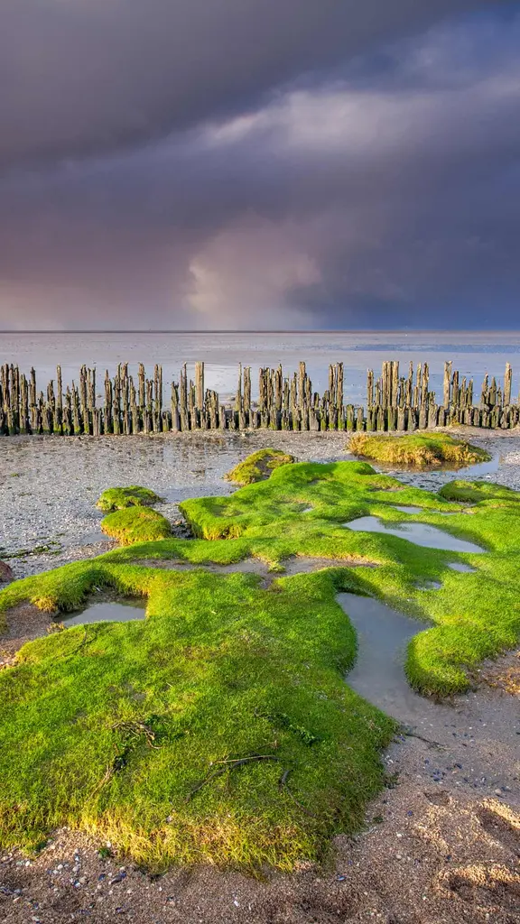 Schlick, Meer und Himmel