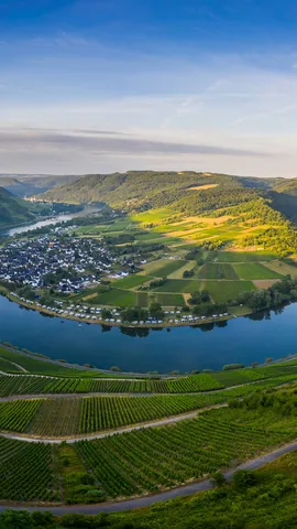 Ansa rigogliosa del fiume Mosella