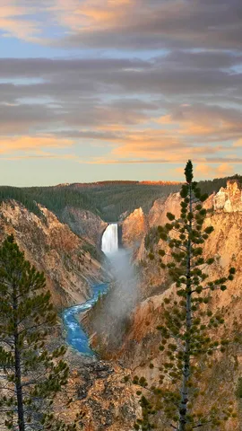 今日は米国国立公園局の創立記念日