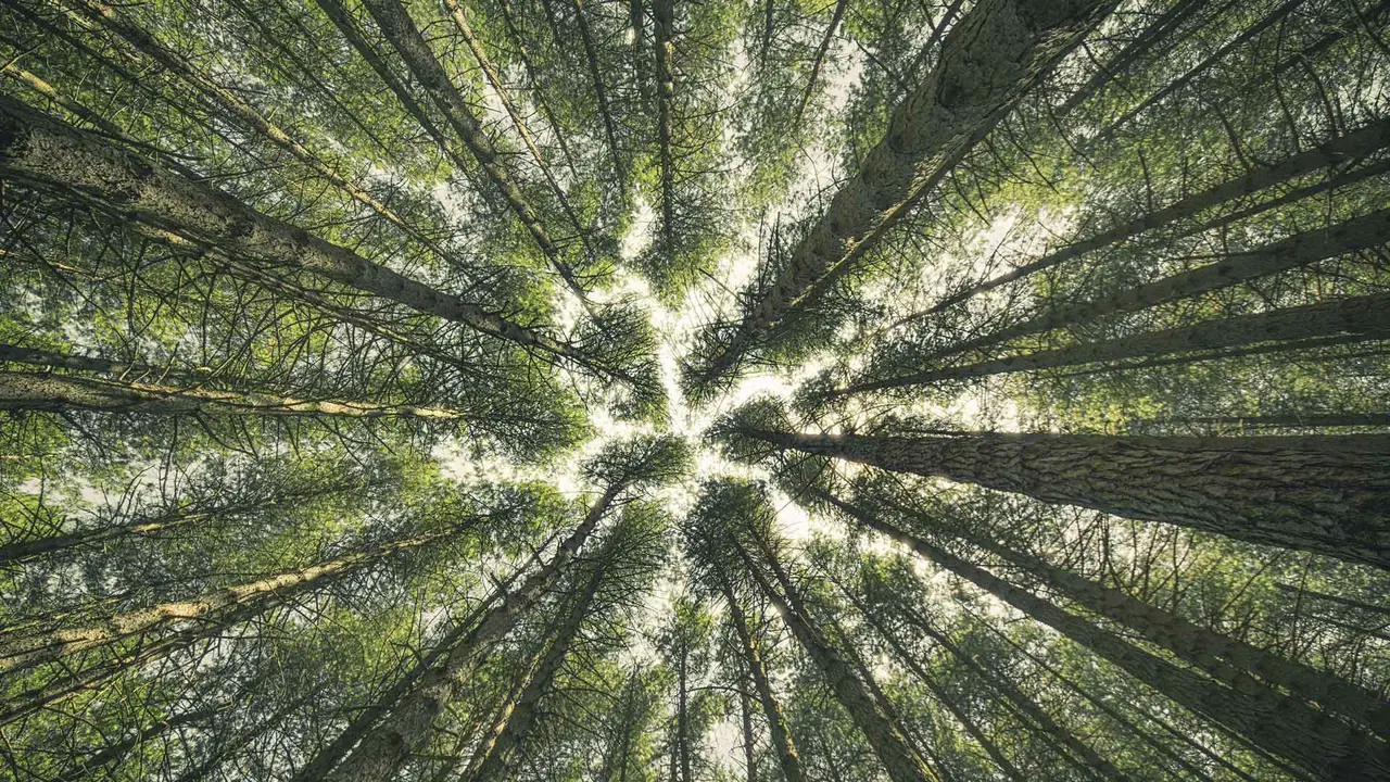 L'estate sta iniziando...