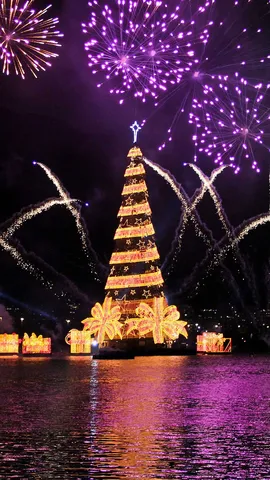 Luz, esperan&ccedil;a e uni&atilde;o