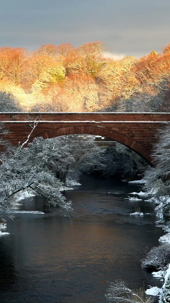 The sun Burns like a red, red rose