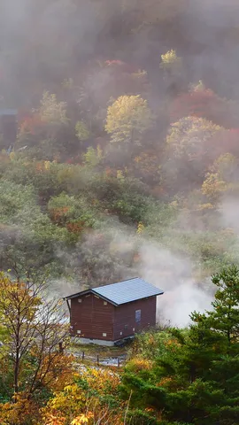 今日は「いい風呂の日」