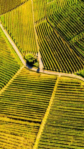 Un territorio ricco di sapori unici e autentici