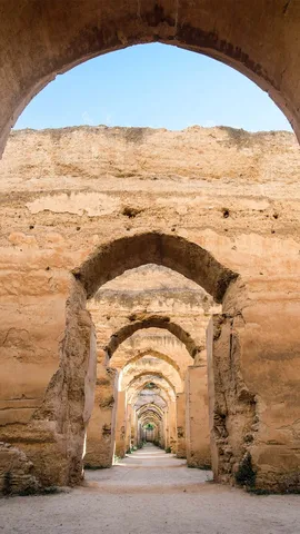 巨大な穀物倉庫