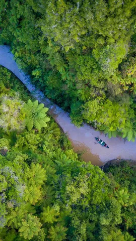 森林に抱かれた川が描く大きなカーブ