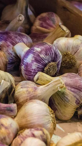 The root of all deliciousness