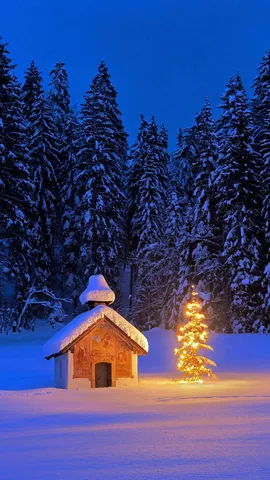 Une nuit magique nous attend !