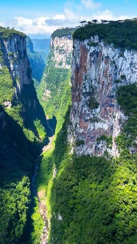 在大自然中漫步