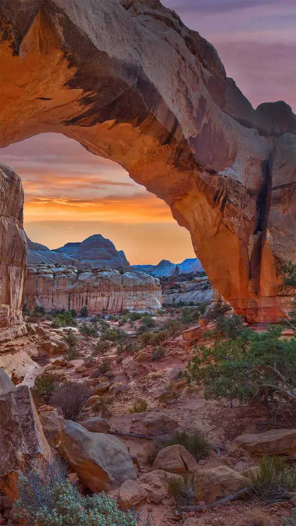 走上这条人迹常见的小径