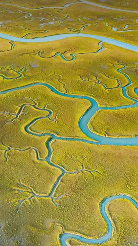 鸟瞰Mockhorn岛野生动植物管理区沼泽地内的潮汐通道，弗吉尼亚