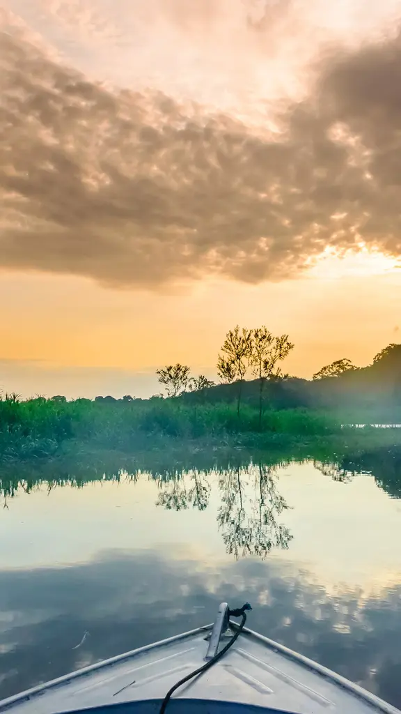 No interior das matas