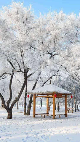 美丽的雾凇景色