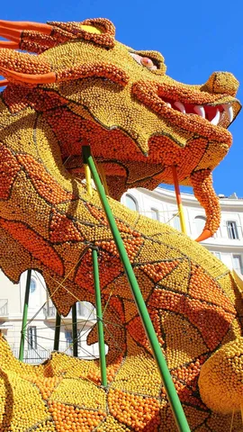 Des citrons par milliers