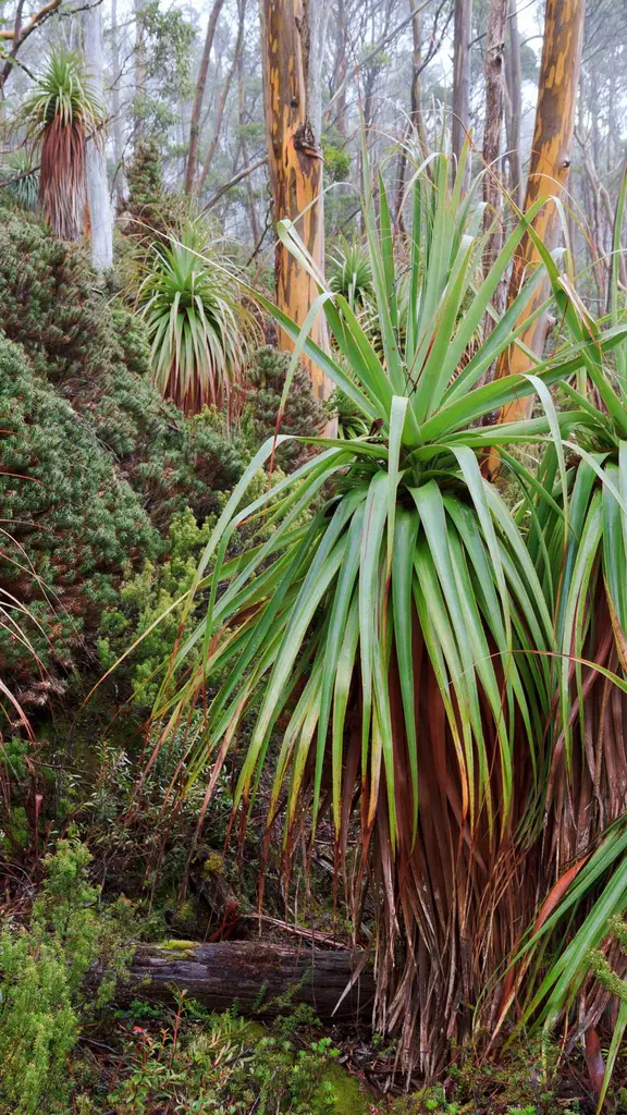 四季皆美的公园