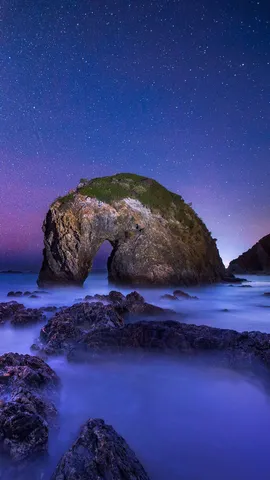 Horsing around the coastline