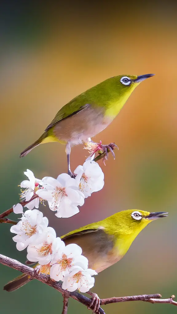 Could you scoot over a little, please?