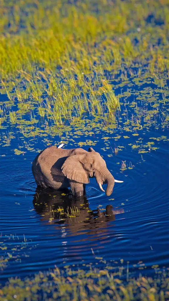 世界上最美好的绿洲？