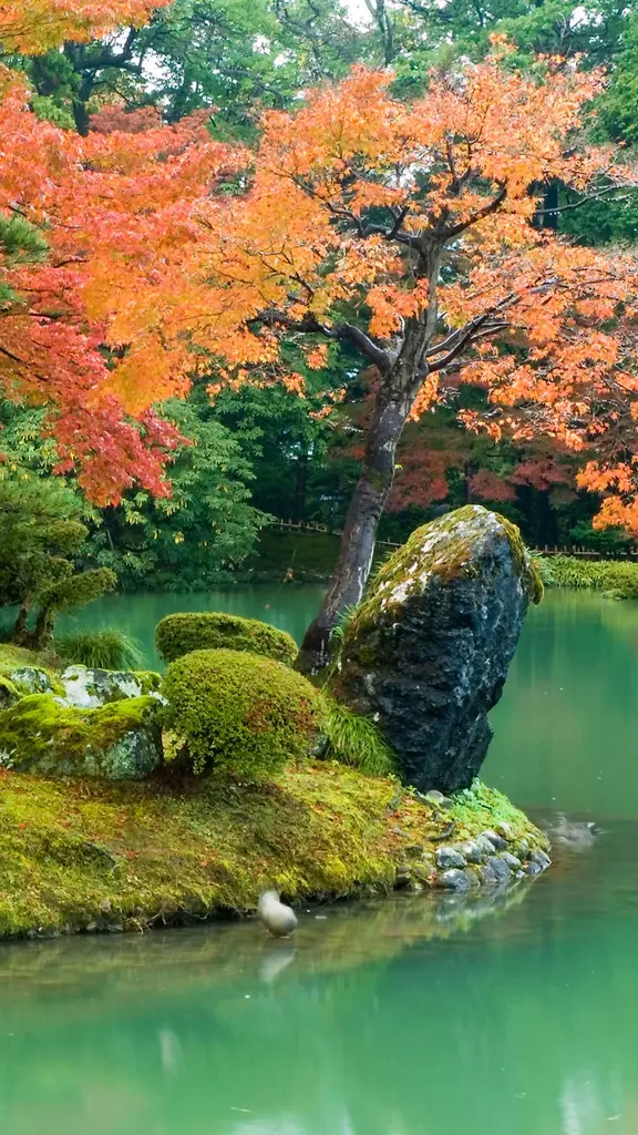 紅葉に彩られた日本庭園