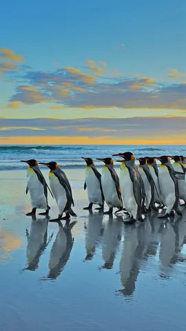 &ldquo;兄弟们，跟我走&rdquo;