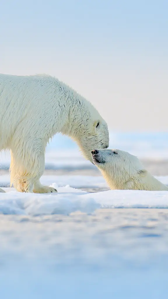 过一个冰雪元旦！