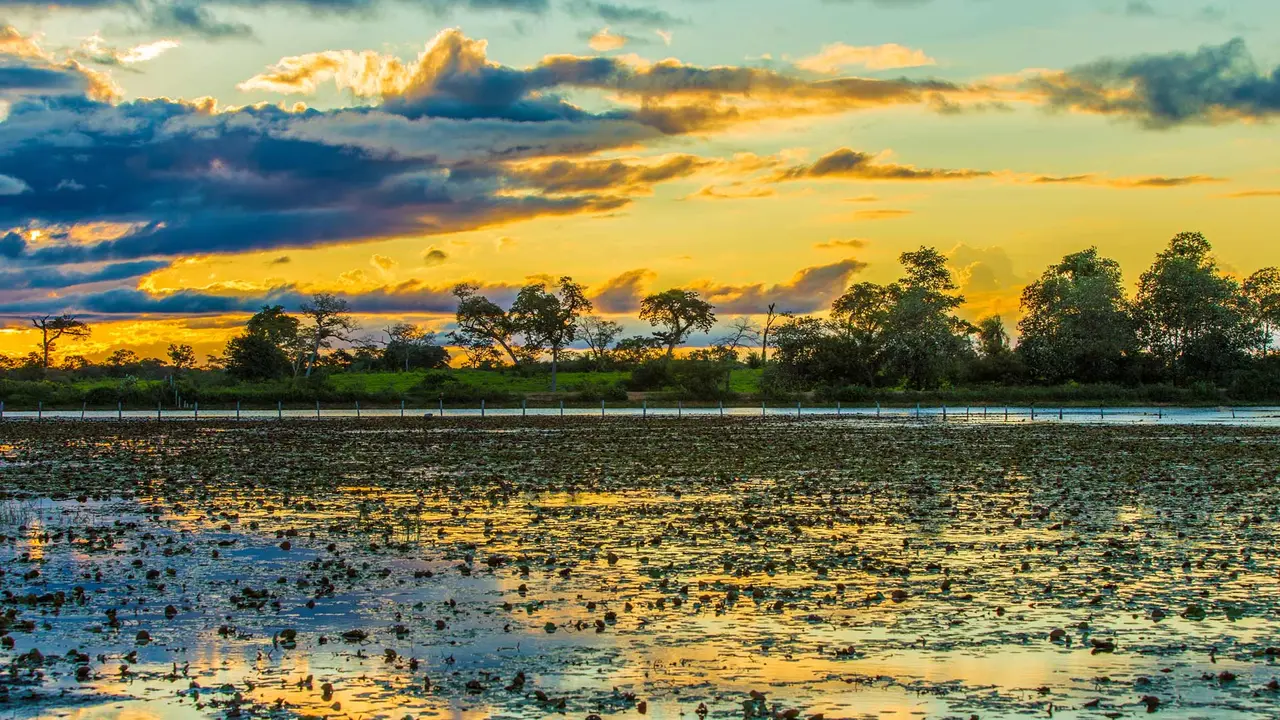 Ando devagar porque j&aacute; tive pressa...