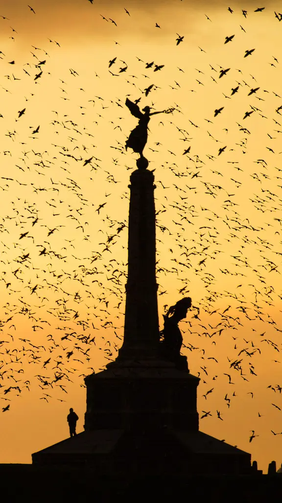 Honouring the fallen