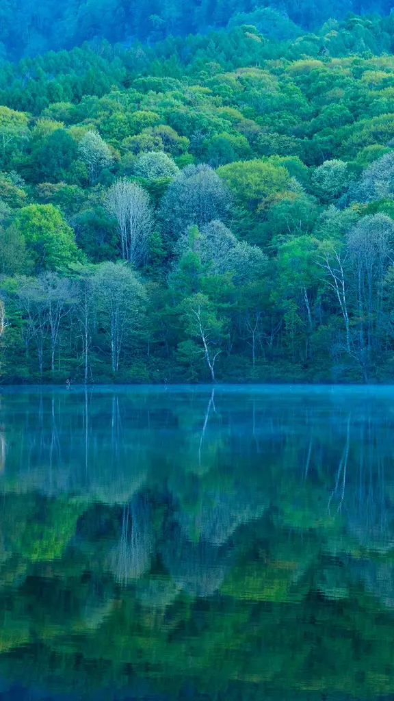 A mirror reflecting nature's beauty