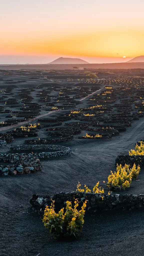 &iexcl;Hip, hip, hurra!