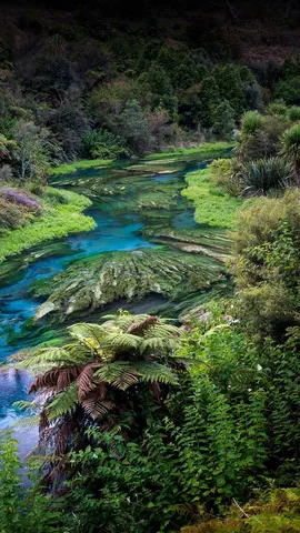今日は世界水の日