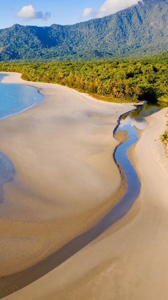 緑の熱帯雨林と紺碧の海